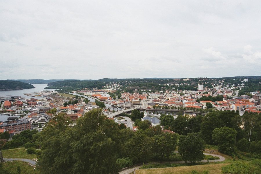 2003061431 halden